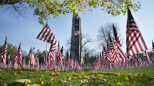 American flags at a memorial.